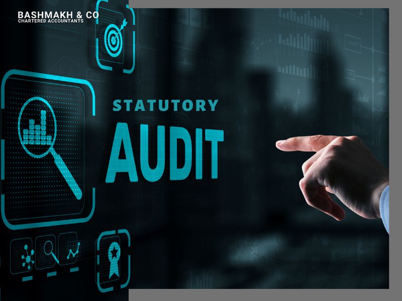 statutory Audit